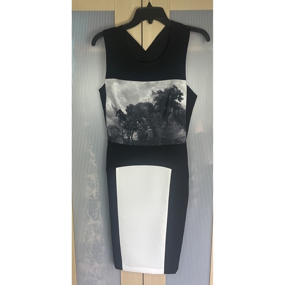 BCBGMaxAzria Dresses & Skirts - BCBG Maxazria Dress Womens Sz 6 Black White Sleeveless Sheath Party Wedding